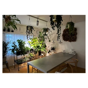 Great Manufacturing 20W LED Indoor Ceiling Lights for Healthy Plant Growth Modern House Lighting with Low Cost