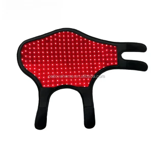 Pain Relief Photon Therapy Red Light 150W 200W 5 Channels Dimming Control Infrared Full Body Animal Horse Therapy Lamp IP65
