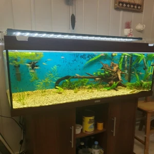 Aquarium Lighting Fish Tank Light Hood with Extendable Bracket Aquarium Lights White Blue LEDs Rainforest Lamp