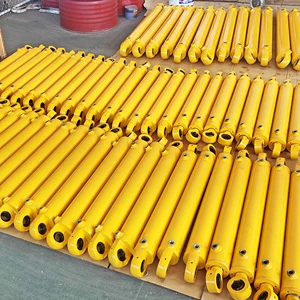 Custom Hydraulic Cylinders Hydraulic Piston Cylinders Double Acting