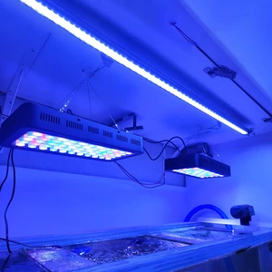Liweida High Power Blue Panel Aquarium LED Lighting Spectrum Change Dimmer For Marine Fish Tank Coral Reef Saltwater Tank