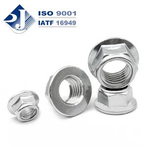 Grade 5 8 M8 M10 M12 Zinc Plated Carbon Steel Stainless Steel Self Locking Hex Flange Nut