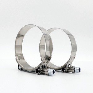 Hot Sale W2 Stainless Steel 304 T Bolt Spring Hose Clamp for Truck