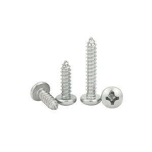 Factory Price Customized 304 Stainless Steel Passivated Crossed Round Head Self-tapping Screw for Heavy Industry
