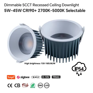 Dimmable High Brightness SMD LED Downlight 140lm/w Anti Glare Black Anti Rust Recessed Down Light for Hotel Home Restaurant