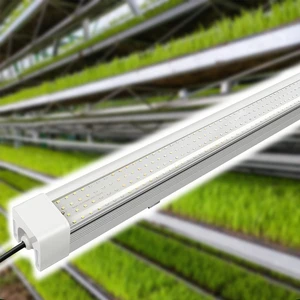 IP65 50W 220V 4FT LED Plant Growth Lamp Seedling Plant Indoor Hydroponics Agricultural Luminaire for Forage Rice Seedling