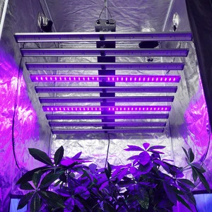 High PPFD 800W Full Spectrum LED Grow Light with Samsung Diodes for Hydroponic Indoor Plant Growth Vegetable Flower Greenhouse