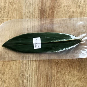 Sushi Leaves Vacuum Packing Fresh Bamboo Leaves with Opp Package