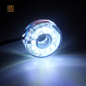 Zaohetian Rockery Landscape 12 Light Aquarium Waterproof Landscape Light USB Diving Landscape Light