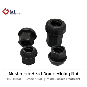 Factory Supplier M4-M100 Black Oxide CL8/10/12 Mushroom Head Dome Mining Nut Hexagon Spherical Nuts for Mining Machinery
