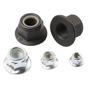 DIN6926 Black 304 Stainless Steel Smooth/Serrated Prevailing Torque Type Hexagon Nuts with Flange and with Non-Metallic Insert