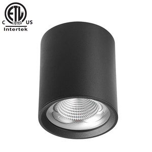 15W-40W LED Cob Down Light Spot Pendant Chandelier Modern Design Adjustable Lamo Recessed Lighting ETL SAA Certified