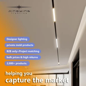 New High-quality Magnetic Track Light Made of Aluminum Easy to Install Recessed Linear Light Suitable for 20mm Magnetic Track
