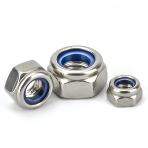 Factory Fastener M8 M10 M12 M14 M16 M18 M20 DIN985 Stainless Steel Anti-Loose Nylon Nut Nylon Insert Lock Nuts for Building