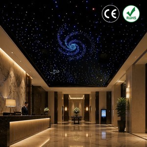 Factory Direct Twinkle Starlight LED Fiber Optic Ceiling Panel IP65 Starlight For Theme Hotel Landscape Architecture Bedroom