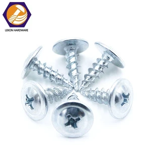 Carbon Steel Metric Zinc Plated Truss Head Self Tapping Screws