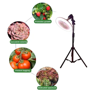 LED Plant Grow Light with Fan- Promotes Growth, Prevents Legging, Adjustable for Succulents & Indoor Plants