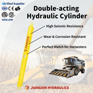 Industrial-Grade 50mm Bore Double Acting High-Performance Corrosion-Resistant Factory-Direct Price Hydraulic Cylinder for Tilt