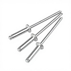 1/8x1/2 Remache Blind Rivets Pop Rivet Metal Fasteners for Aluminum Grade 4.8/6.8 Nickel-Free 3mm Diameter Popular for