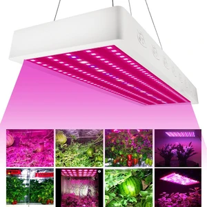 Factory Price Direct Led Grow Lamp Lights LED Plant Growth Light 1000W Full Spectrum with Hanging 200 LEDs for Plants
