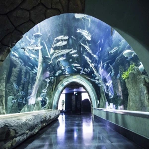 Large Cylinder Acrylic Fish Aquariums With Various Sizes For Sale