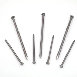 Common Nails