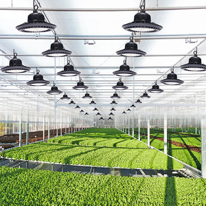 Table Grow Light Led 200W Greenhouse Grow Light Hydroponic for Indoor Plant Grow Light 200Watt Growing System Lamps
