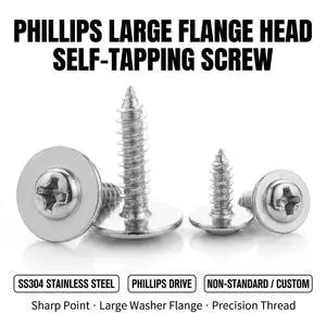 High Precision 304 Stainless Steel Phillips Large Washer Head Self Tapping Screw M1-M6 Non-standard Micro Screws Fasteners OEM