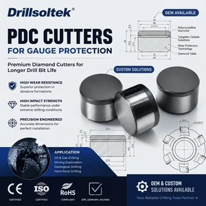 Drillsoltek OEM PDC Cutters For Gauge Protection Customized Diamond Cutters For Oilfield Drilling Tools