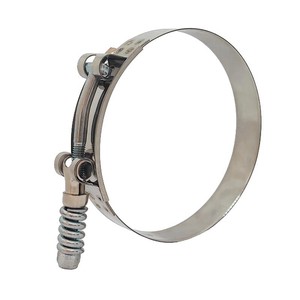 201/304/316 Stainless Steel Strong t Bolt Hose Clamps