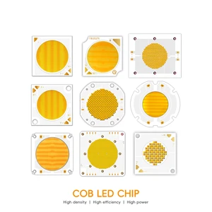 High Power Ceramic IR Red Light Beads 18W 24W 25W 730nm 810nm 850nm 940nm 1050nm LED Emitting Far Infrared Zoom Lens CE
