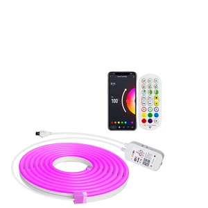 Smart DC 5V 5M RGBIC Music Sync LED Neon Light Bluetooth Connected Flexible Silicone Magic Color LED Strip Light