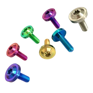 Gr5 Anodized Colored M3 M4 M5 M6 M7 M8 M10 Bicycle Motorcycle Titanium Screw