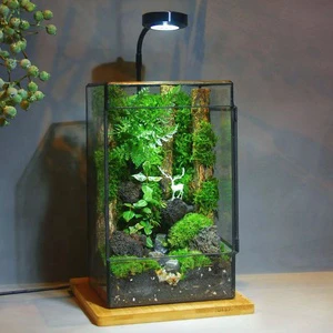 Wholesale 3W 5W 7W 9W Led Aquarium Fish Tank Light for Vivarium Terrarium,Potted Plants,Succulent,Miniature Gardening Landscape