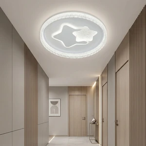 Premium Quality Large Scale Ceiling Light with Balanced Light Distribution and Durable Construction for Modern Interiors