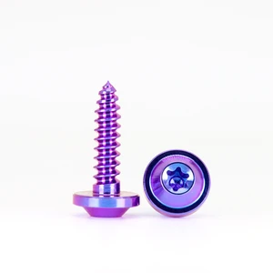 GR5 M4 M5 5 Titanium High Strength Motorcycle Screw Self Tapping