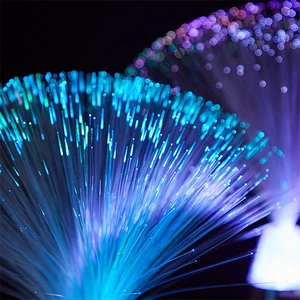 Multicolor Fiber Optic Lamp Light Holiday Wedding Fiberoptic LED Color Changing LED Fiber Optic Night Light Lamp