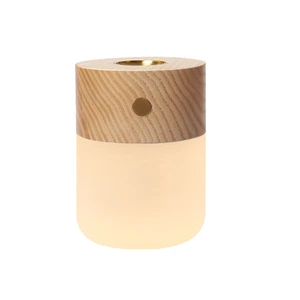 Aromatherapy Night Light with Heated Wooden Base LED Bedside Small Table Lamp for Bedroom Yoga Room Atmosphere Light