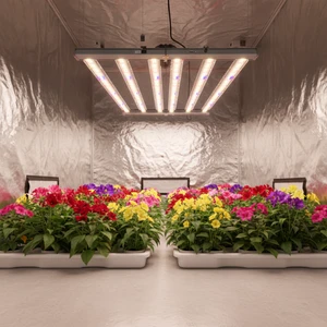 720W LED Grow Light Aluminum Body Foldable Plant Lamp Full Spectrum for Indoor Plant Bloom LM281B LM301H Chip Dimmable IP65