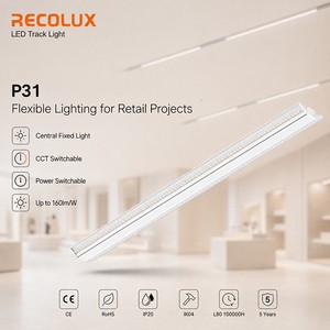 Power Switchable Track Mounted Linear Light Up to 160lm/W for Commercial Store Lighting