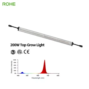 ROHE Best Price 3.3 Umol/ 200w Samsung Lm281b Alternative Led Veg Grow Light Full Spectrum Above Cannopy Growing Light