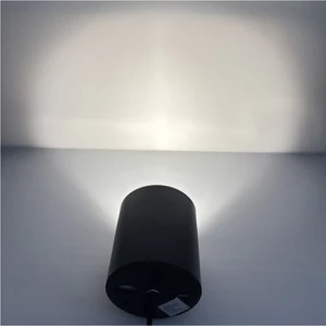Pendant and Suspended LED High Quality Downlight Cylindrical Light for Indoor Lighting with 5 Years Warranty
