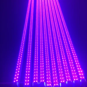 7Magic UV IR 395NM 730NM OEM ODM High Yield Flower Veg Bloom Full Spectrum 4000 Lumens Led Indoor Grow Lights