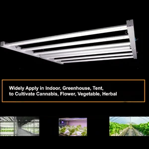 Professional Full Spectrum Led Grow Light Indoor Plant Grow Light GreenHouse Lights and Indoor Plants Lamp