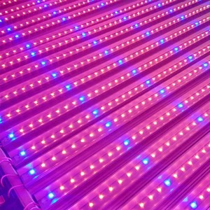 4ft 40W 120cm Fruit Flower Microgreen Lettuce Hydroponics Sprouting Vegetation T8 T5 Tube Full Spectrum LED Plant Grow Lamp