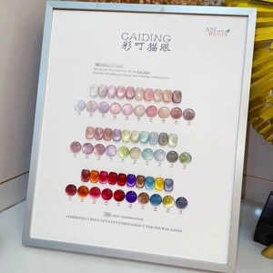 15ml 30 Colour China Wholesale Nail Supplies Salon Beauty Art Products Painting Heart Cat Eye Magnet Nails UV Gel Polish Set