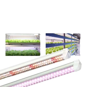 LED Grow Light 9000K 6500K Red Blue Dimmable Waterproof Full Spectrum Plant Tube Lamp T20 T5 T8 Grow Light for Vegetable