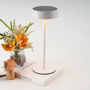 Nordic Simple Solar Nightlight Bedroom Bedside Table Lamp USB Type-C Rechargeable Touch Dimming LED Eye Protection Metal Lamp