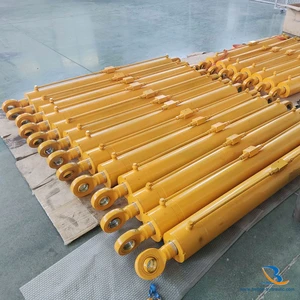 Double Action Hydraulic Ram Hydraulic Cylinder for Sale