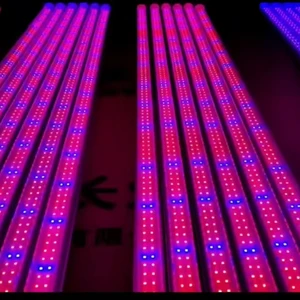 Custom 40W Full Spectrum T8 LED Plant Grow Light IP65 Waterproof LED Growing Lamp for Indoor Greenhouse Vertical Farm